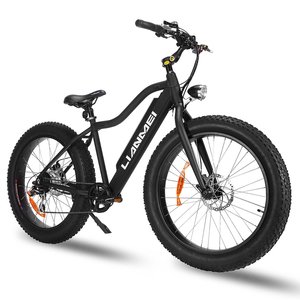 LMTDF-35L 350W Fat Mountain Electric Bike